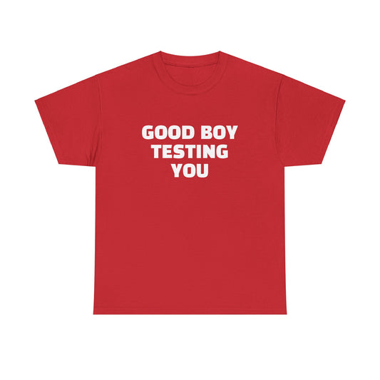 Funny Unisex Heavy Cotton Tee - 'Good Boy Testing You'